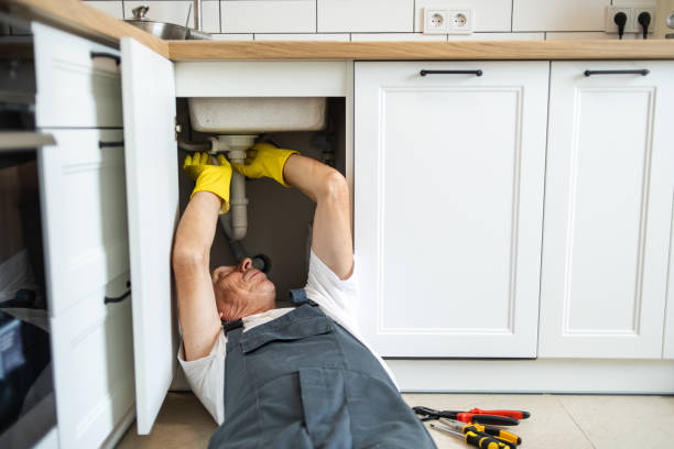 Best Plumbing Services Near Me  in Mchenry, IL